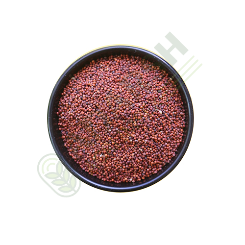 Millet Grains